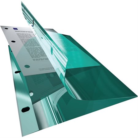 Vinyl sheet protector