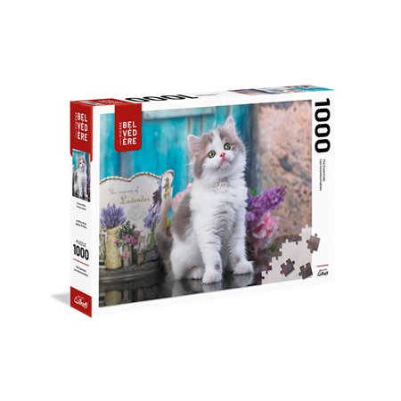Curious cat puzzle - 1000 pcs