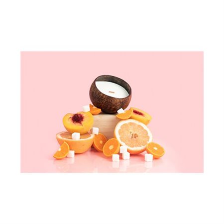 Coco-Candle - Sugar Bloom