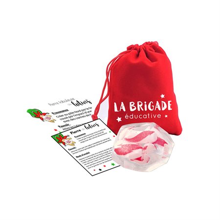 (Fr) La brigade éducative - Pierre de lutins