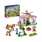 LEGO® Friends - Horse Training (41746)