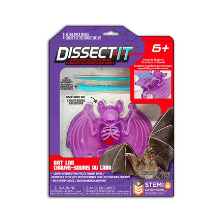 Dissect It - Bat lab