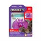 Dissect It - Bat lab
