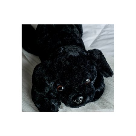 Comforting Plush Labelle 4lbs